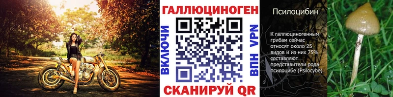 где найти Красновишерск блэк спрут сайт Галлюциногенные грибы Magic Shrooms