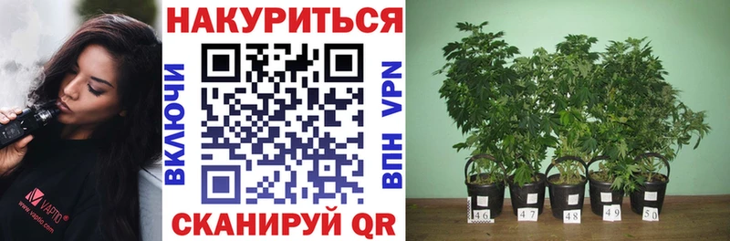 Каннабис VHQ  гидра как войти  Красновишерск  дарнет шоп 